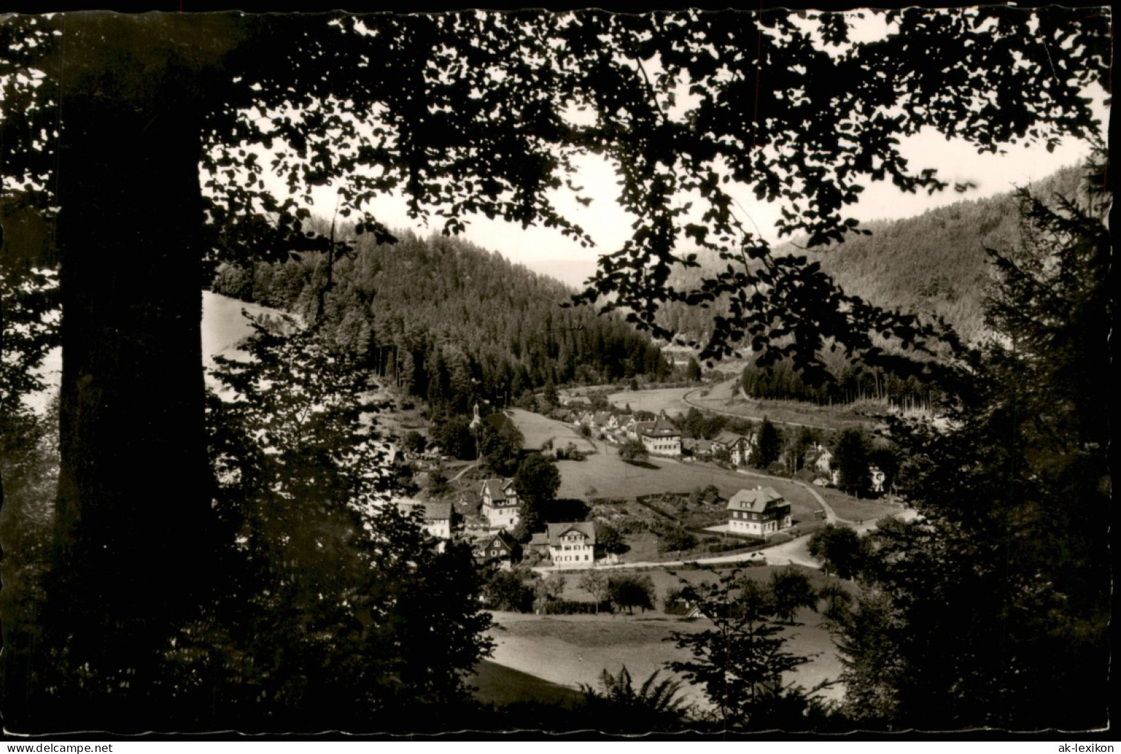 Ansichtskarte Schönmünzach-Baiersbronn Blick Auf Die Stadt 1954 - Baiersbronn