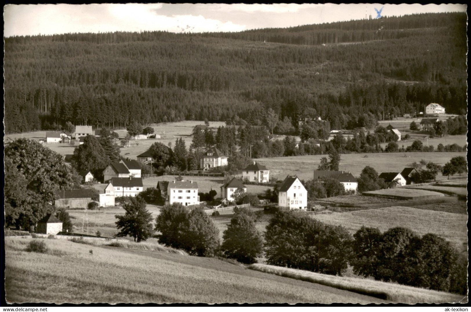 Ansichtskarte Bischofsgrün Villenpartie 1959 - Autres & Non Classés