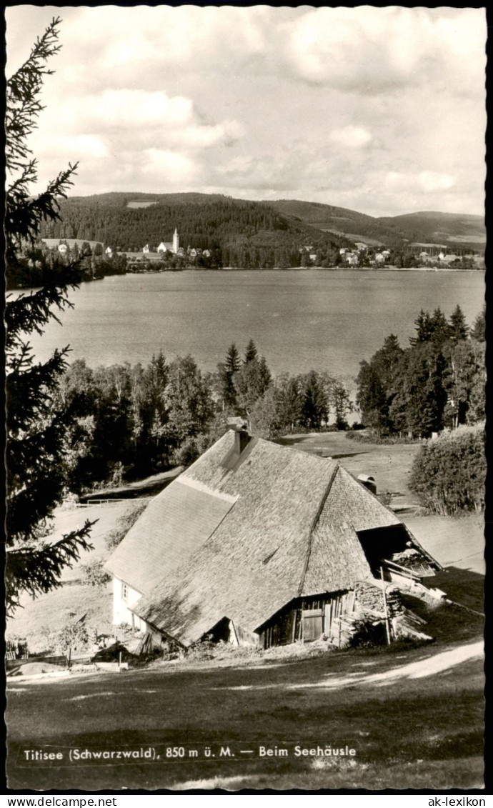 Ansichtskarte Titisee Beim Seehäusle 1963 - Other & Unclassified