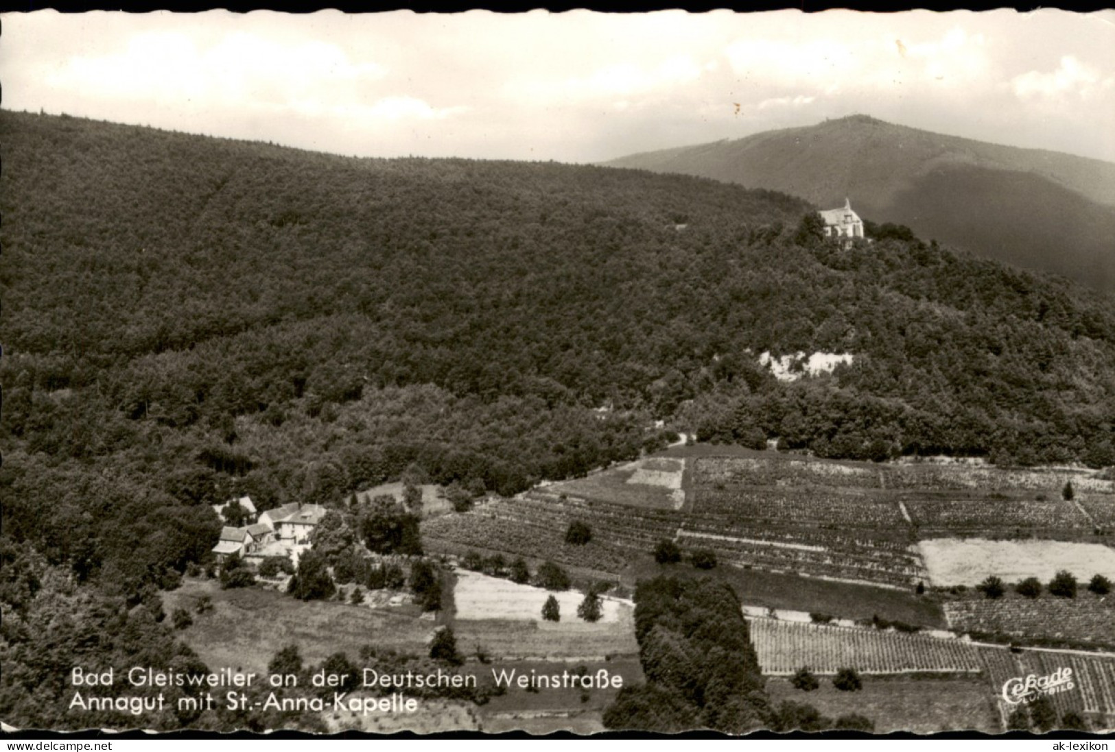 Gleisweiler-Edenkoben Panorama-Blick Auf Annagut Mit St. Anna-Kapelle 1967 - Edenkoben