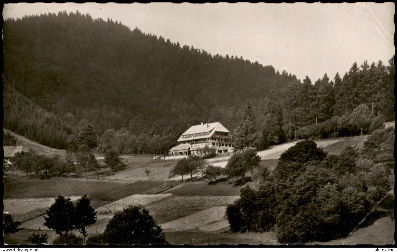 .Baden-Württemberg Schwarzwald (Mittelgebirge) Am Gasthof Pension Haldenhof 1957 - Other & Unclassified