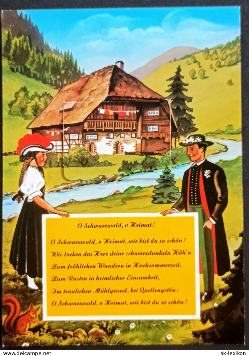 .Baden-Württemberg Schwarzwald Schwarzwaldhaus, Ausziehbilder 1970 Leporello - Autres & Non Classés