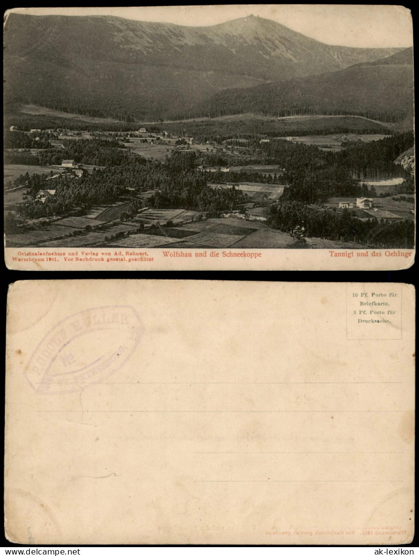 Postcard Wolfshau Stadt Und Schneekoppe 1901 - Schlesien