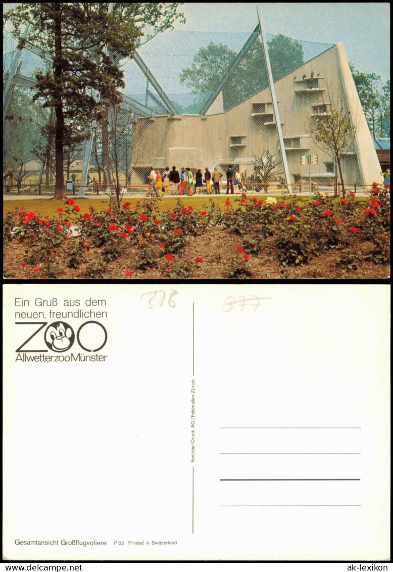 Münster (Westfalen) Allwetterzoo Zoo Tierpark Großflugvoliere 1970 - Muenster