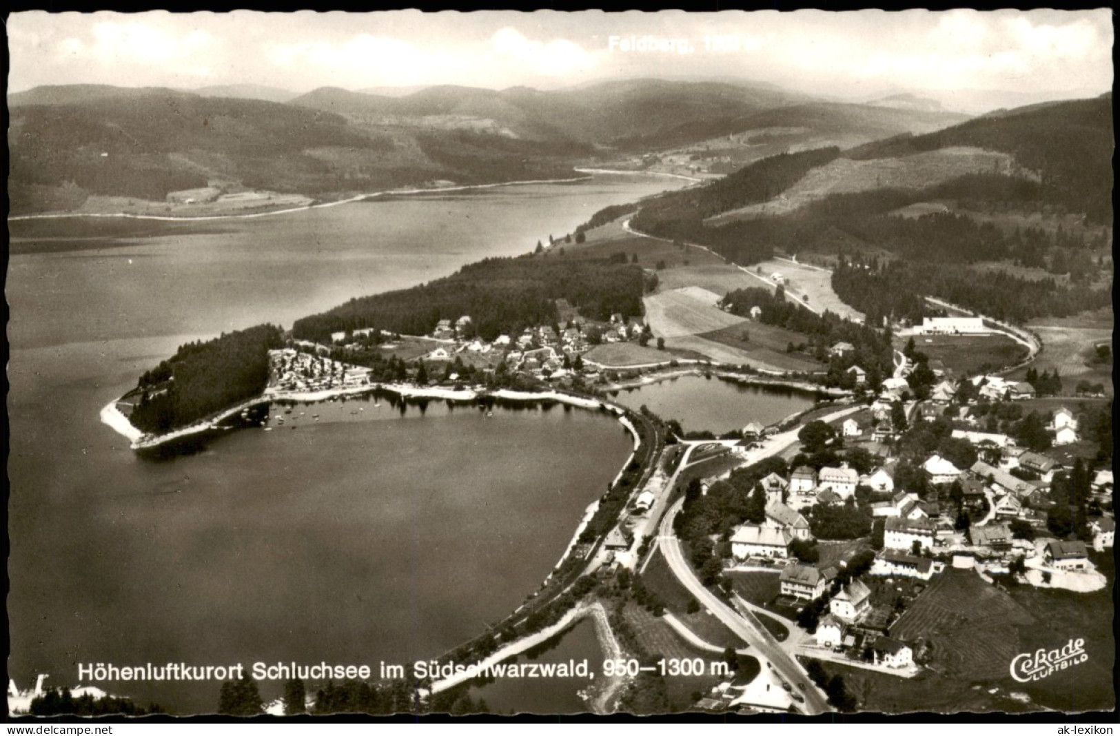 Ansichtskarte Schluchsee Schluchsee Vom Flugzeug Aus, Luftbild 1966 - Schluchsee