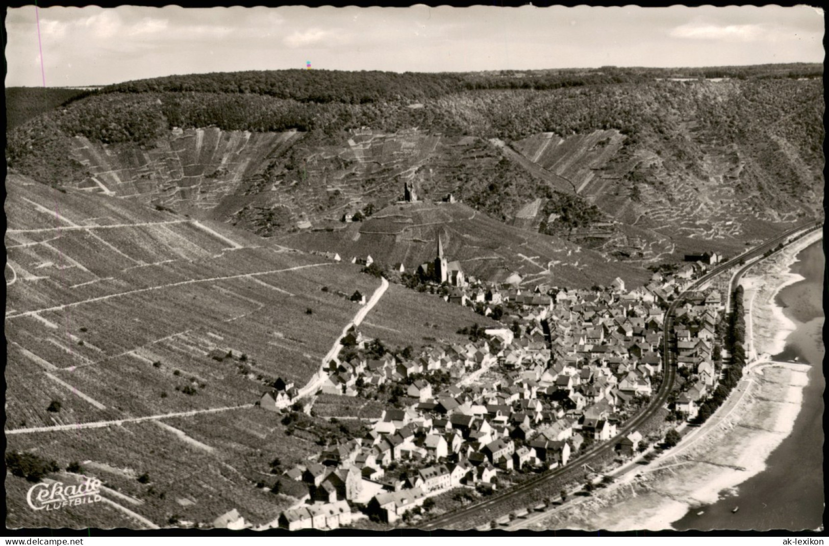 Ansichtskarte Klotten Panorama-Ansicht; Ort An Der Mosel 1955 - Autres & Non Classés