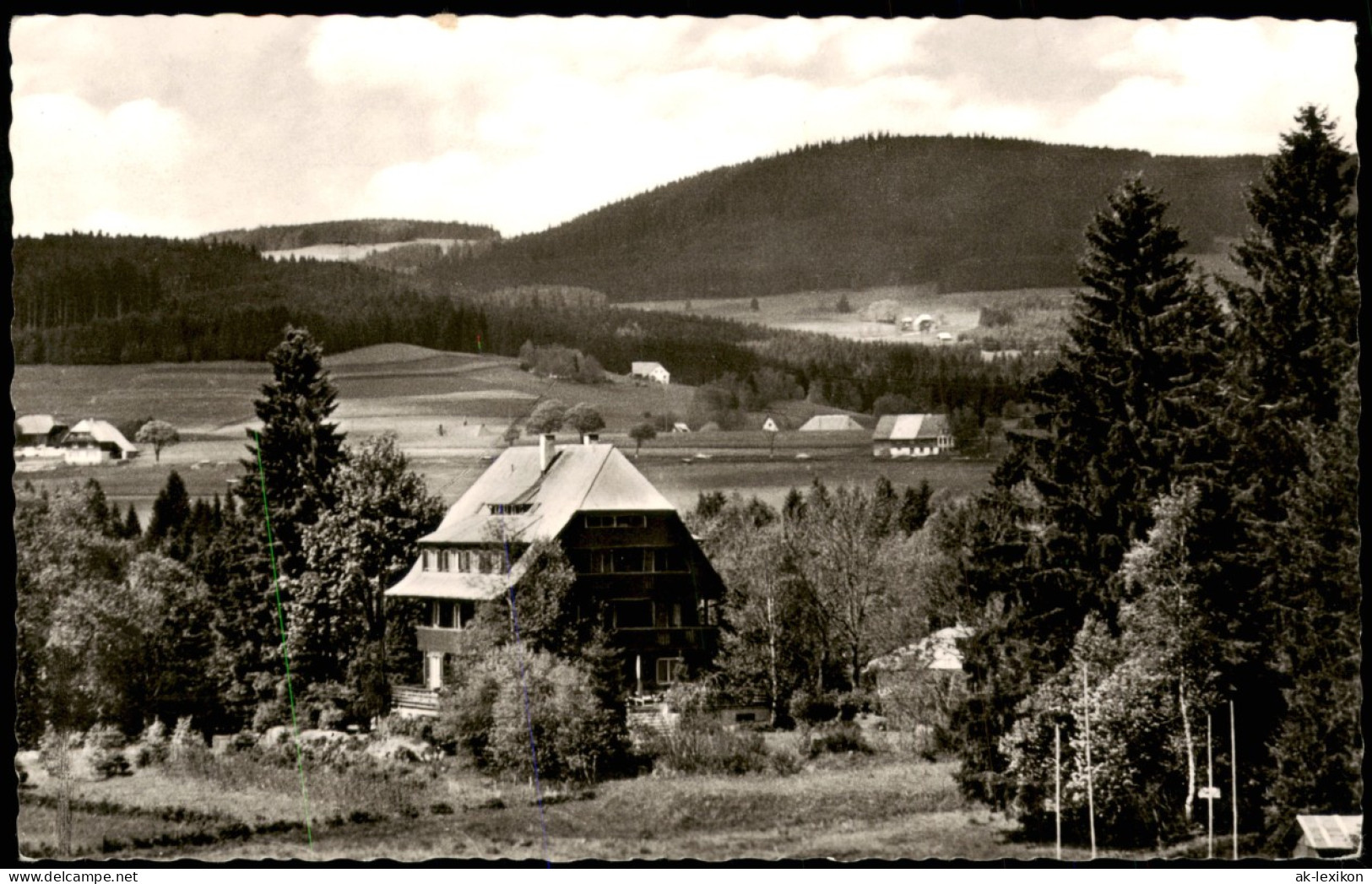 Hinterzarten Partie Am Kurheim Von Der Straß (nach Dr. Bircher-Benner) 1960 - Hinterzarten