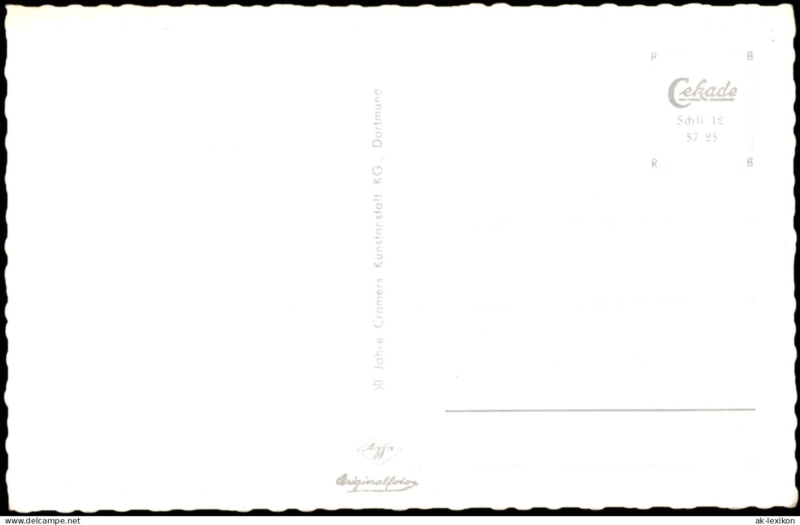 Schliersee Ortspanorama Mit Brecherspitze (1684 M) Und Jägerkamp 1957 - Schliersee