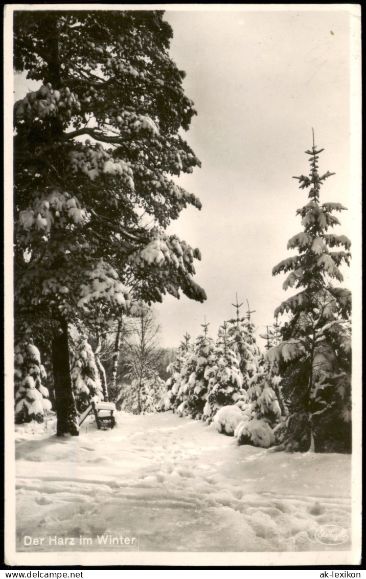 Ansichtskarte  Der Harz Im Winter, Stimmungsbild Winter-Landschaft 1954 - Unclassified