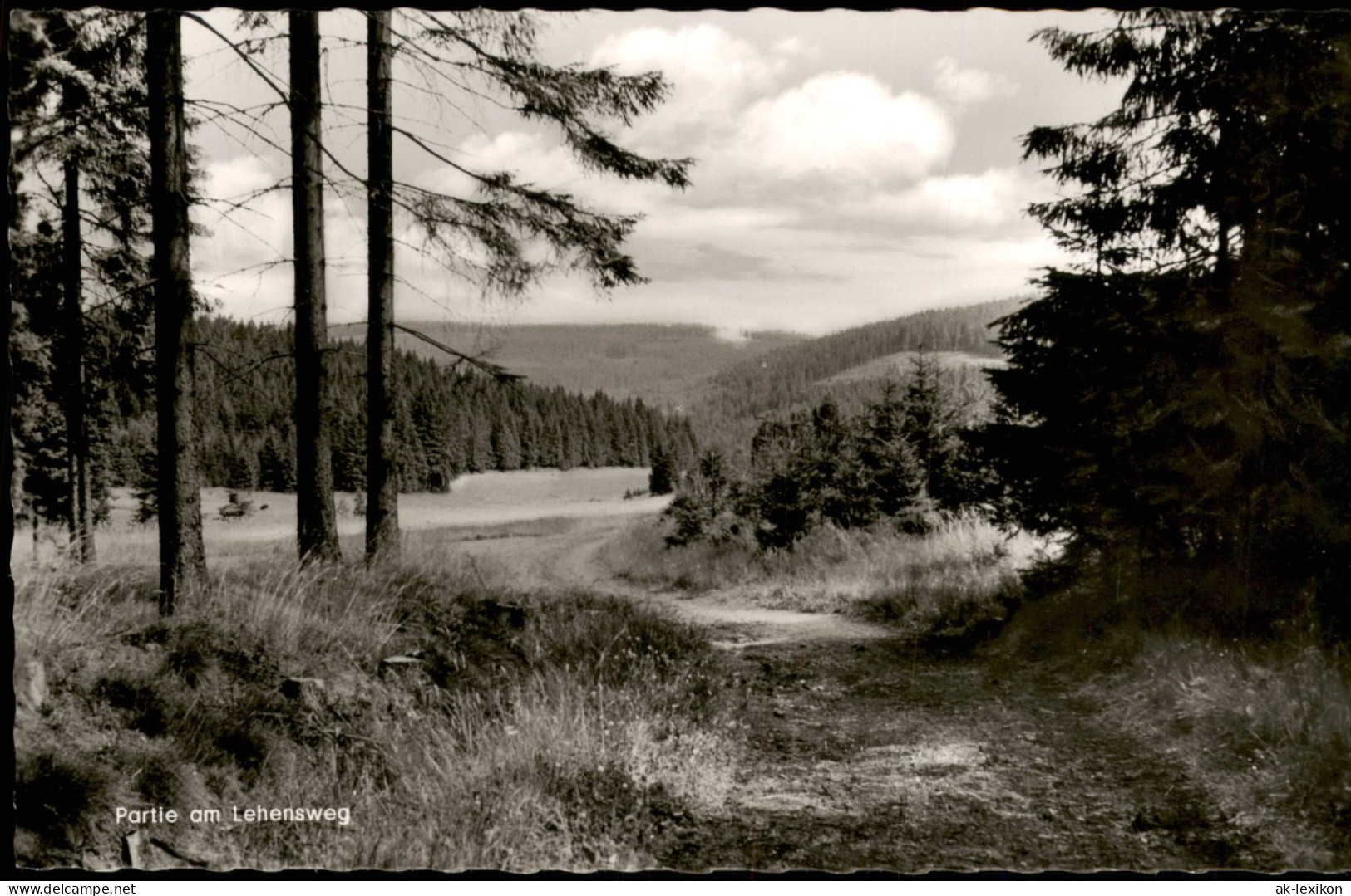 Ansichtskarte .Bayern Der Schöne Frankenwald Bei Steinbach A. W. 1960 - Andere & Zonder Classificatie