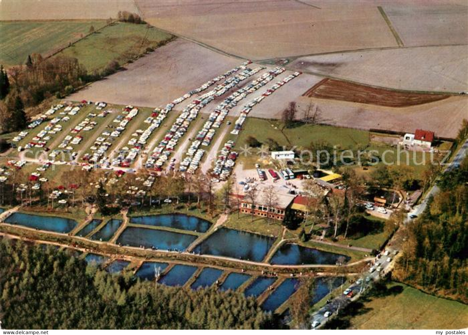 72950453 Walsrode Lueneburger Heide Waldwirtschaft Luisenhoehe Fliegeraufnahme A - Walsrode