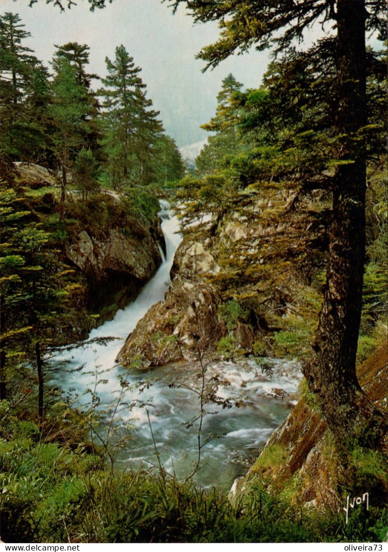 CAUTERETS - Cascade Du Pas De L'Ours - Cauterets