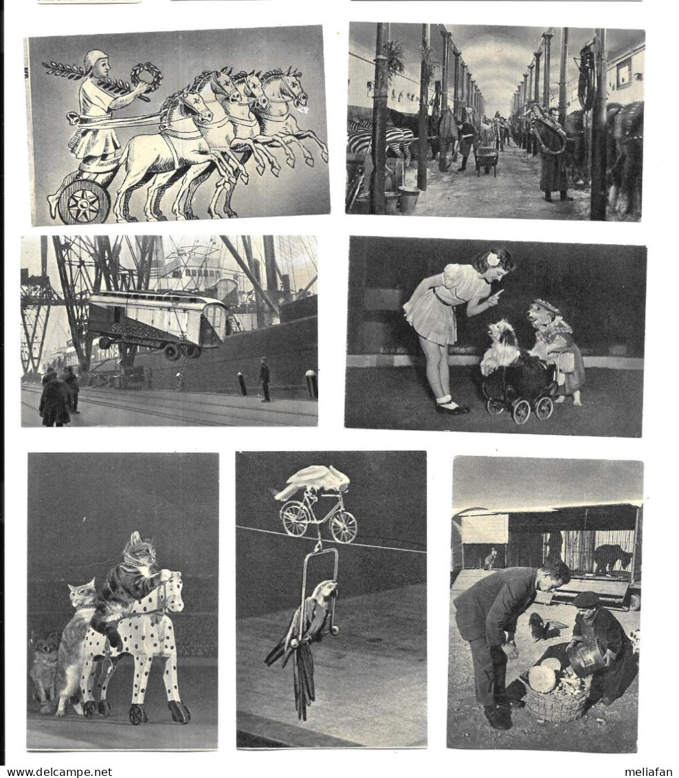 ED41 - IMAGES BONTE DROOM VAN HET CIRCUS - CIRQUE - Other & Unclassified