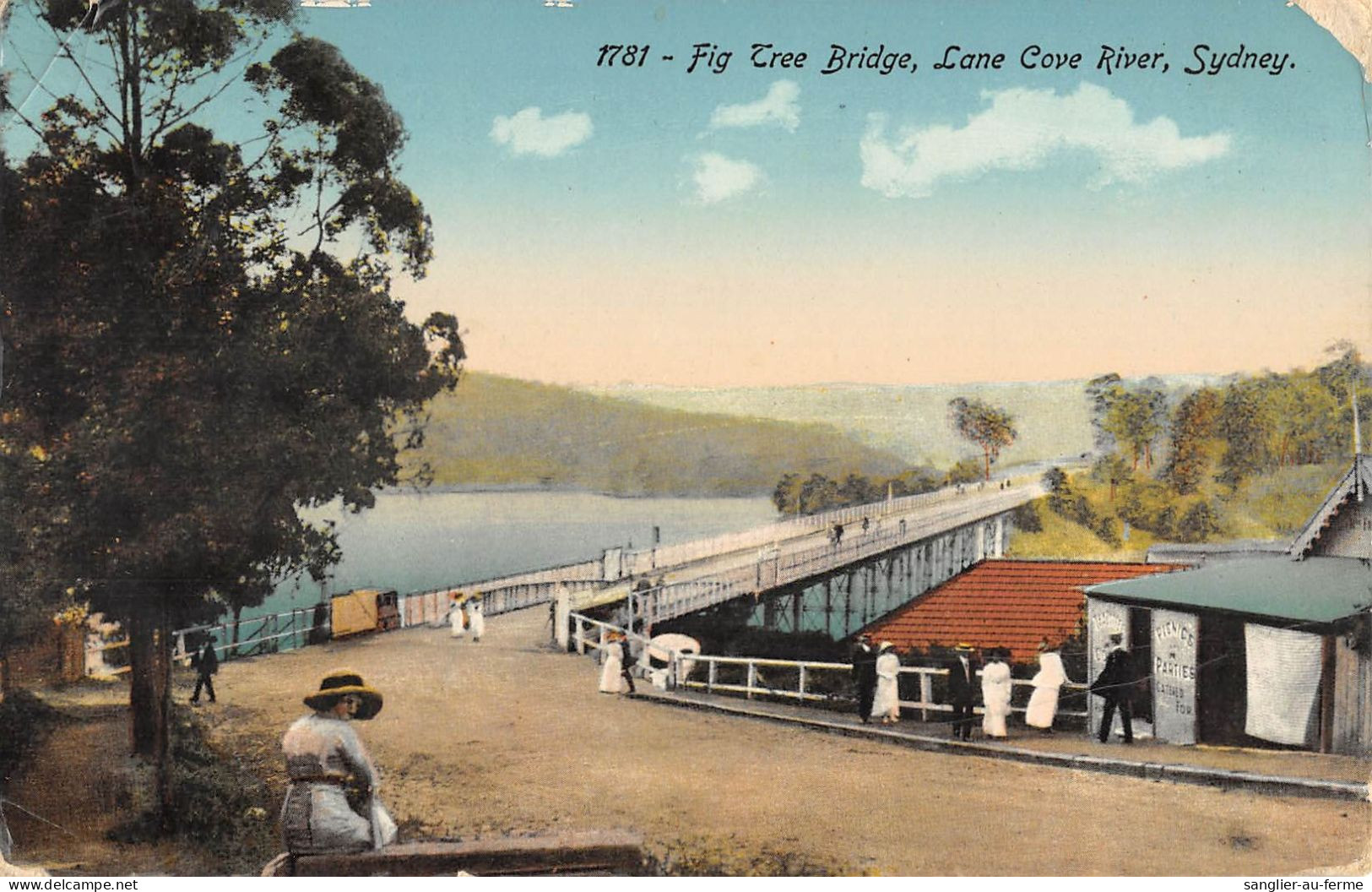 CPA AUSTRALIE / FIG TREE BRIDGE / LANE COVE RIVER / SYDNEY - Altri & Non Classificati