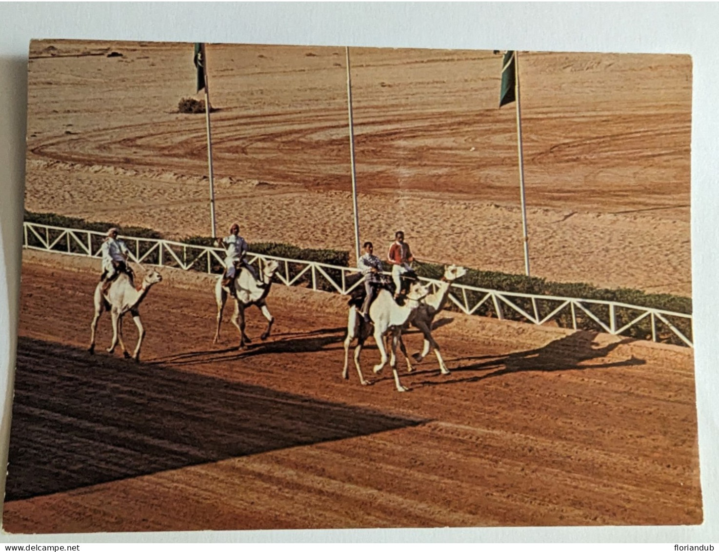 CP - Riyadh Arabie Saoudite Horse And Camel Race Track Course De Chameaux - Saudi-Arabien