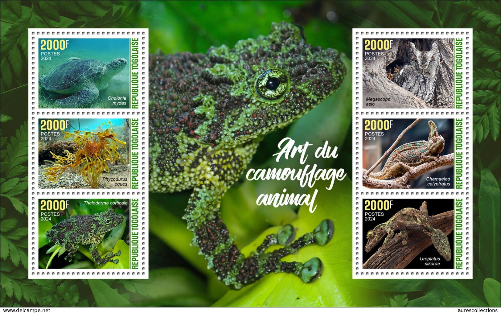 TOGO 2024 MS 6V - CAMOUFLAGE - FROG FROGS TURTLES TURTLE OWL OWLS GECKO CHAMELEON SEAHORSE HIPPOCAMPE REPTILES - MNH - Ranas