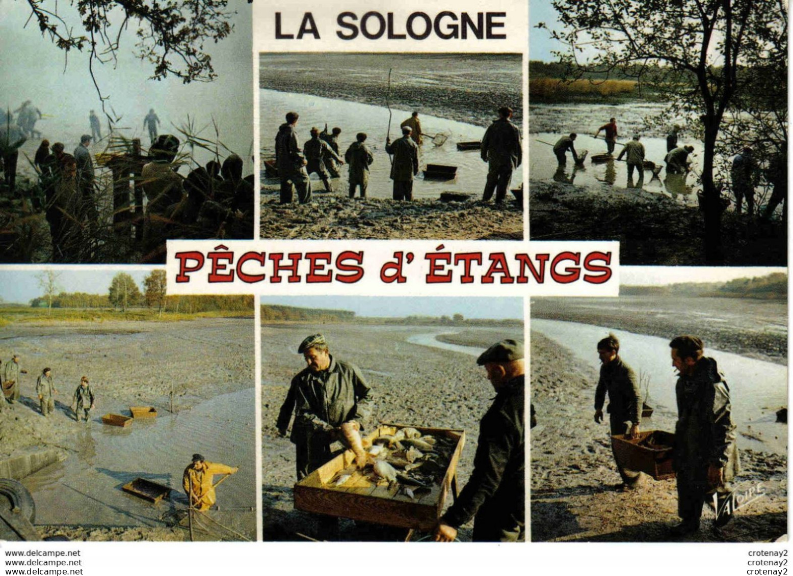 En Sologne Pêche D'étangs N°5677 Animée Multivues Pêcheurs Poissons éditions Valoire Blois - Fischerei