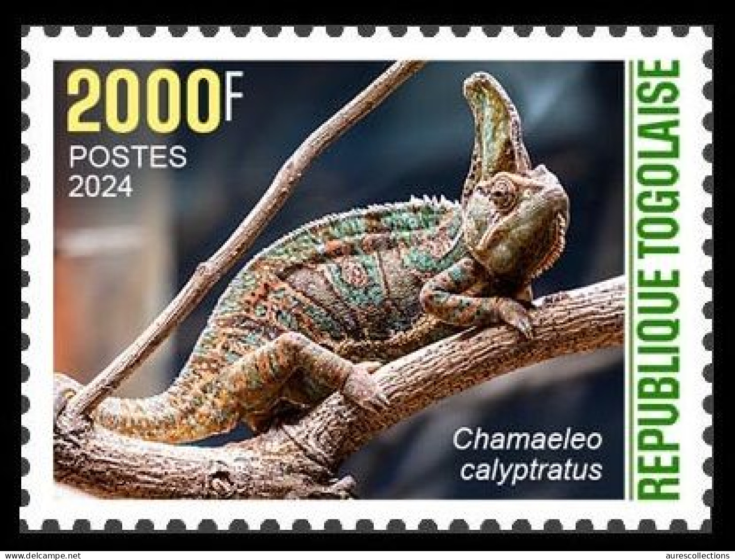 TOGO 2024 STAMP 1V 2000F - CAMOUFLAGE - CHAMELEON CHAMELEONS CAMELEON CAMELEONS - MNH - Autres & Non Classés