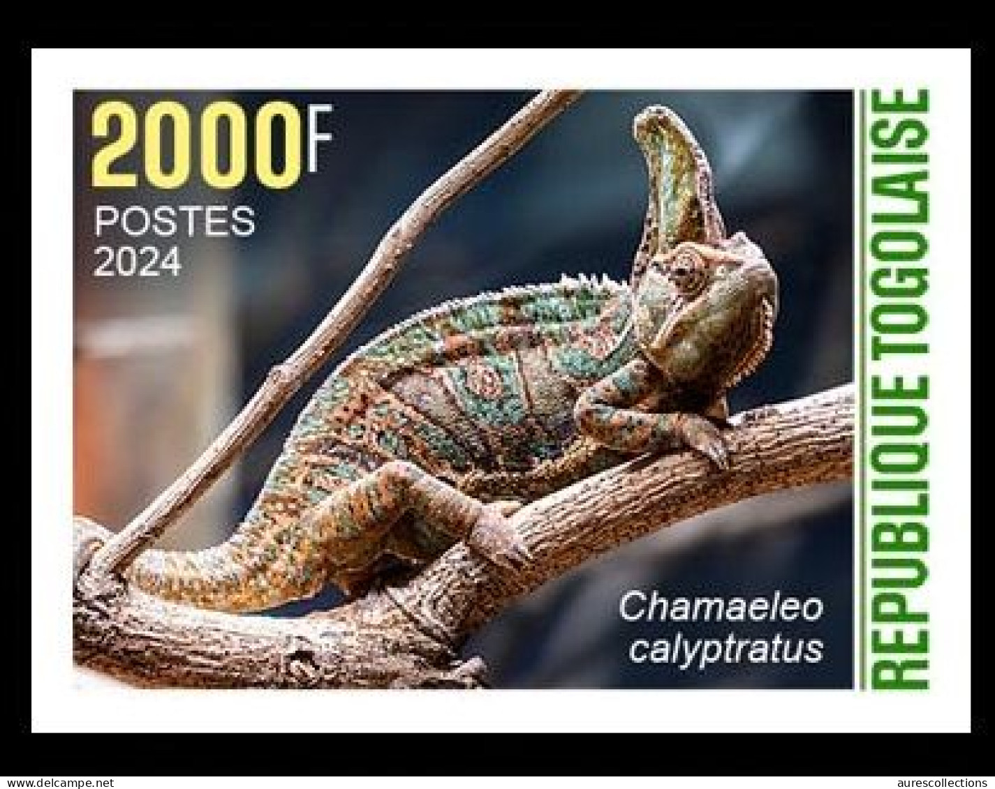 TOGO 2024 STAMP 1V IMPERF 2000F - CAMOUFLAGE - CHAMELEON CHAMELEONS CAMELEON CAMELEONS - MNH - Otros & Sin Clasificación