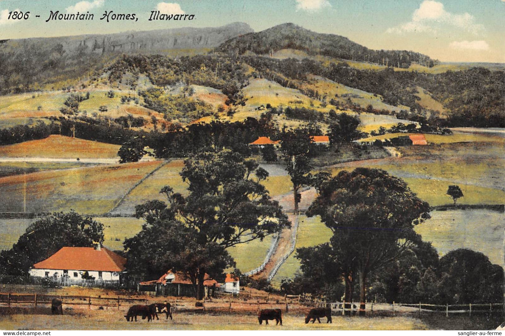 CPA AUSTRALIE / MOUTAIN HOMES / ILLAWARRA - Autres & Non Classés