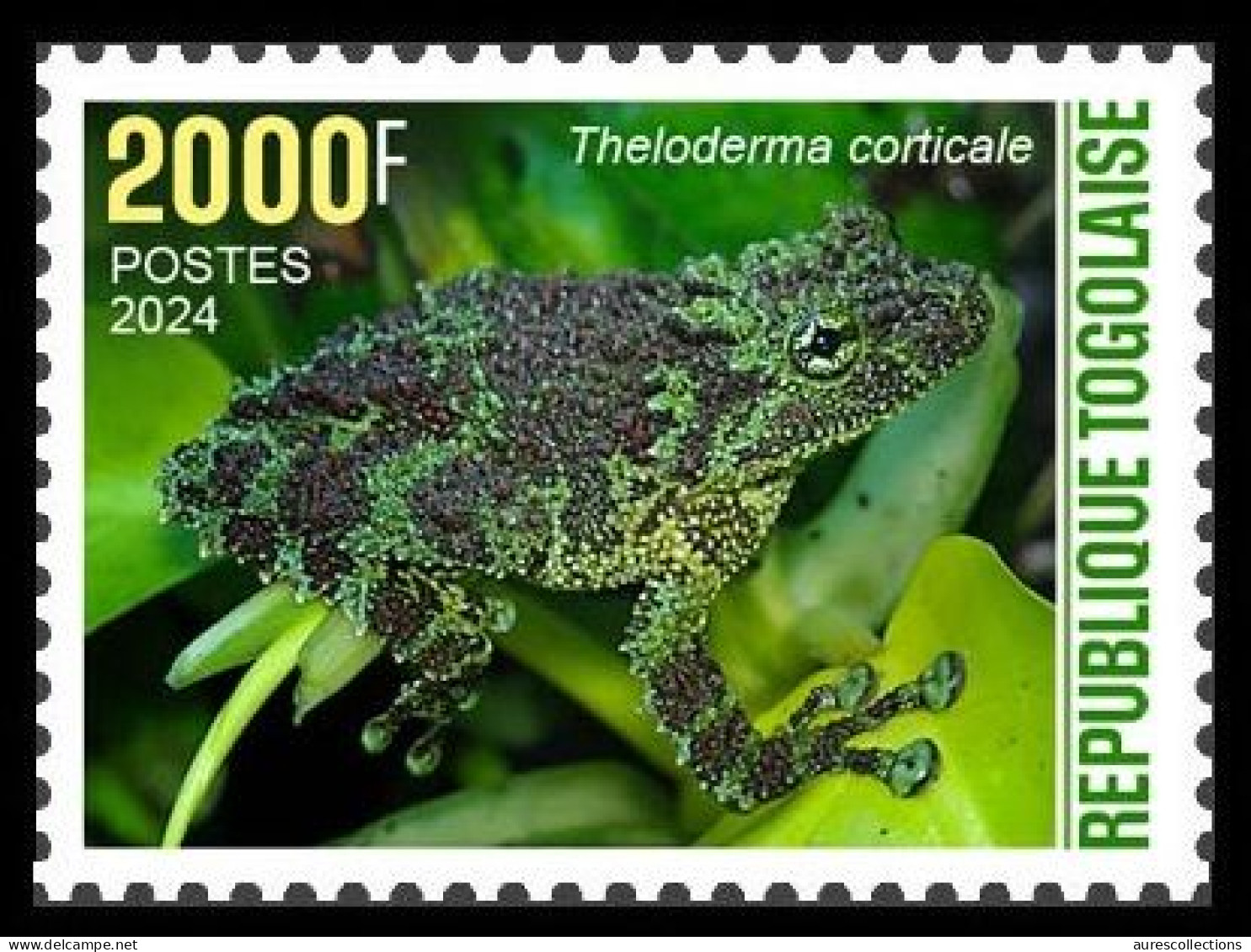 TOGO 2024 STAMP 1V 2000F - CAMOUFLAGE - FROG FROGS GRENOUILLE GRENOUILLES AMPHIBIANS AMPHIBIENS - MNH - Frogs