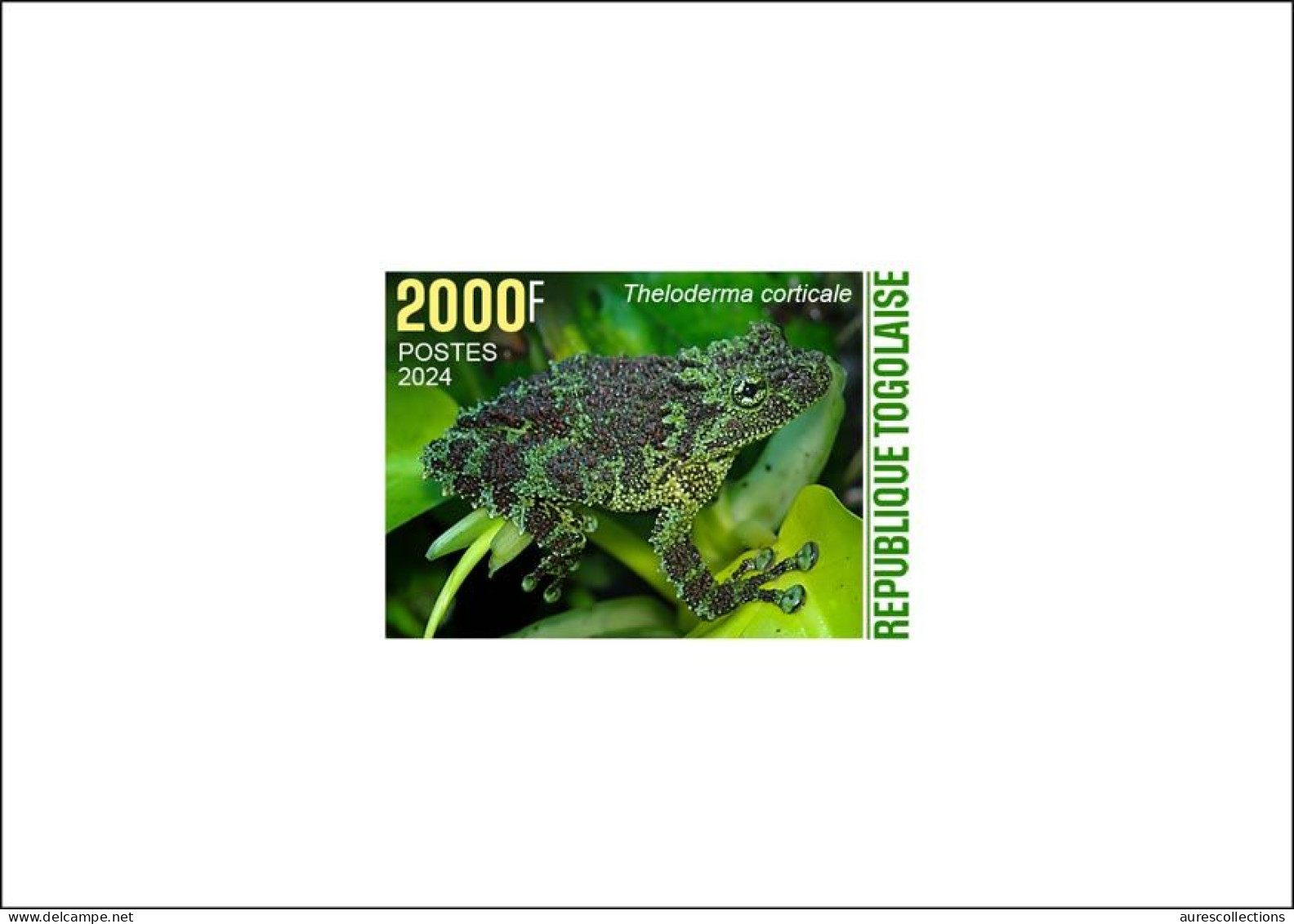 TOGO 2024 DELUXE PROOF - CAMOUFLAGE - FROG FROGS GRENOUILLE GRENOUILLES AMPHIBIANS AMPHIBIENS - Frogs