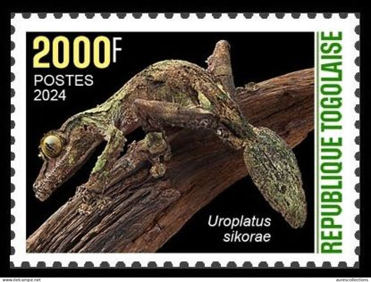 TOGO 2024 STAMP 1V 2000F - CAMOUFLAGE - GECKO GECKOS REPTILES - MNH - Other & Unclassified
