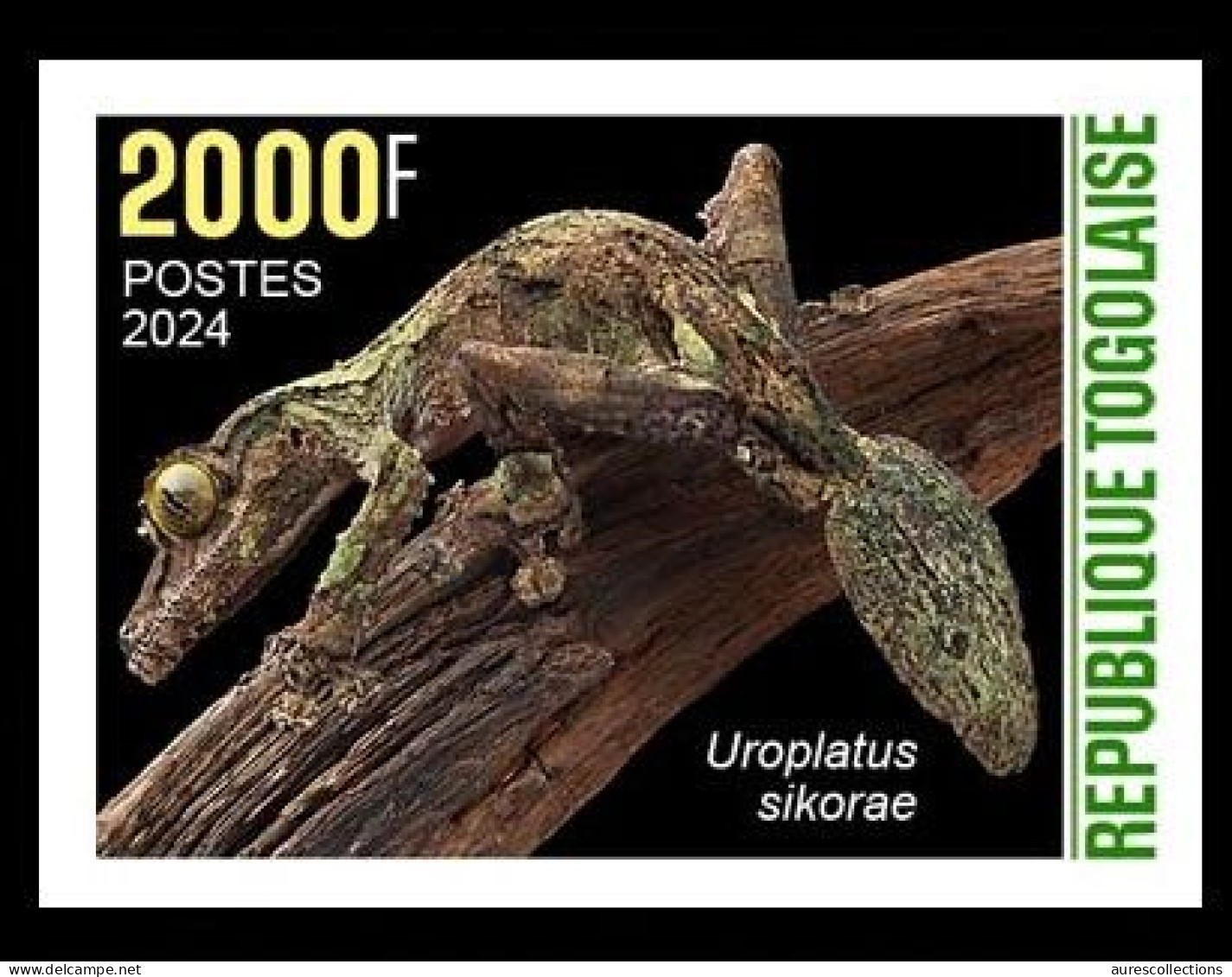 TOGO 2024 STAMP 1V IMPERF 2000F - CAMOUFLAGE - GECKO GECKOS REPTILES - MNH - Other & Unclassified