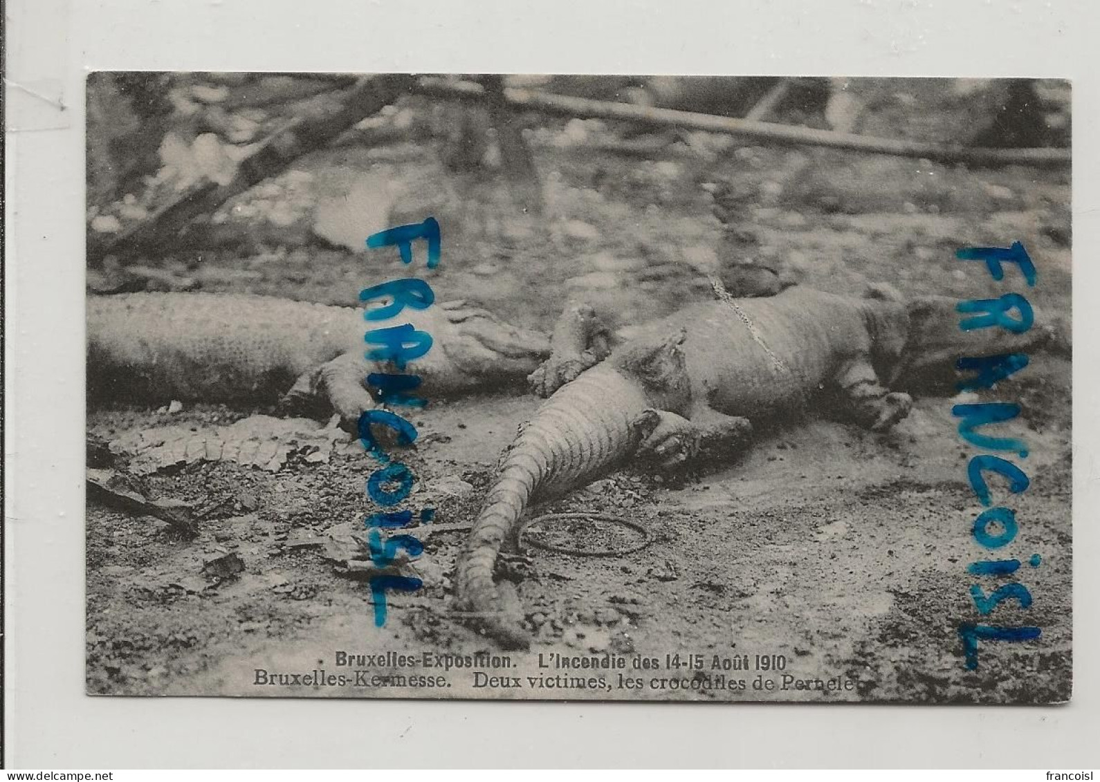 Bruxelles Exposition. L'Incendie Des 14-15 Août 1910. 2 Victimes. Les Crocodiles De Pernele - Sonstige & Ohne Zuordnung