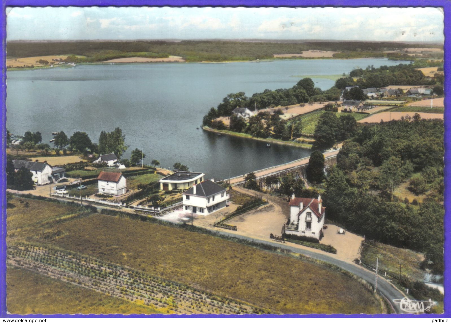 Carte Postale 44. Joué-sur-Erdre  Et L'étang De Voireau  Vue Aérienne   Très Beau Plan - Andere & Zonder Classificatie