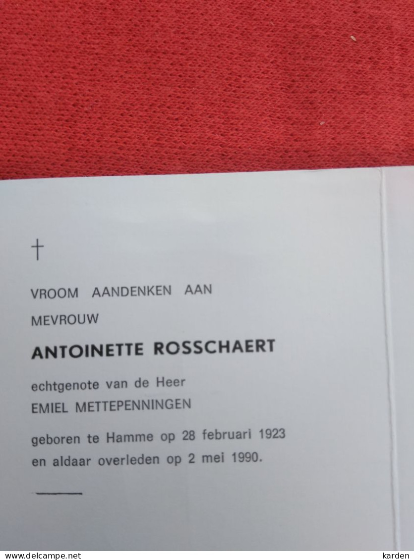 Doodsprentje Antoinette Rosschaert / Hamme 28-2-1923 / 2-5-1990 ( Emiel Mettepenningen ) - Religión & Esoterismo