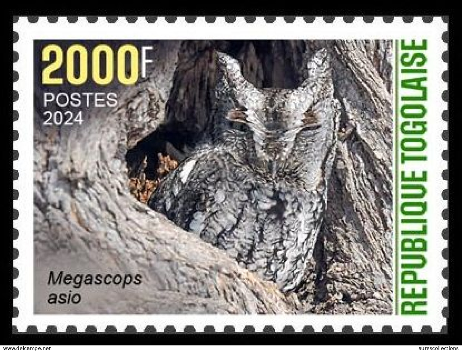 TOGO 2024 STAMP 1V 2000F - CAMOUFLAGE - OWL OWLS HIBOU HIBOUX - BIRDS OISEAUX - MNH - Búhos, Lechuza