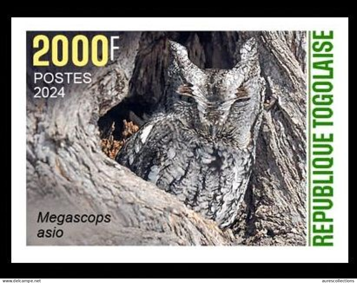 TOGO 2024 STAMP 1V IMPERF 2000F - CAMOUFLAGE - OWL OWLS HIBOU HIBOUX - BIRDS OISEAUX - MNH - Eulenvögel