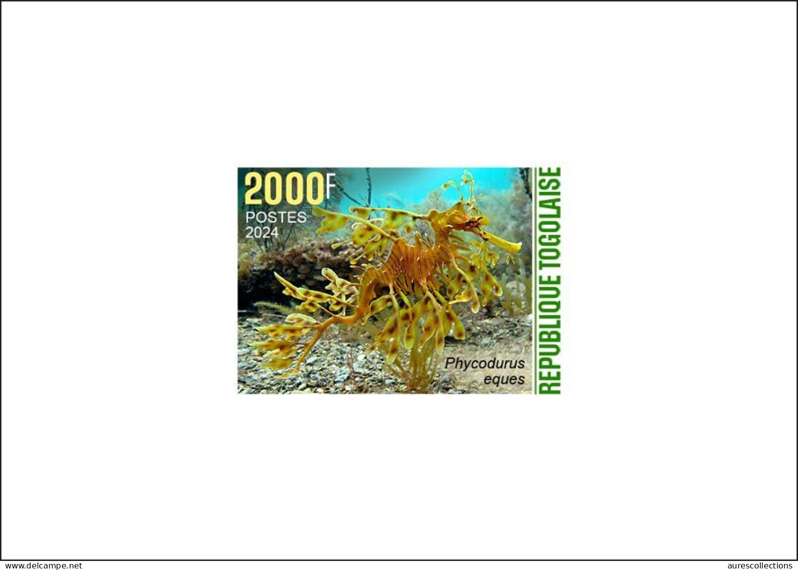 TOGO 2024 DELUXE PROOF - CAMOUFLAGE - SEAHORSE SEAHORSES SEA HORSE HIPPOCAMPE HIPPOCAMPUS FISH POISSONS - MNH - Fishes