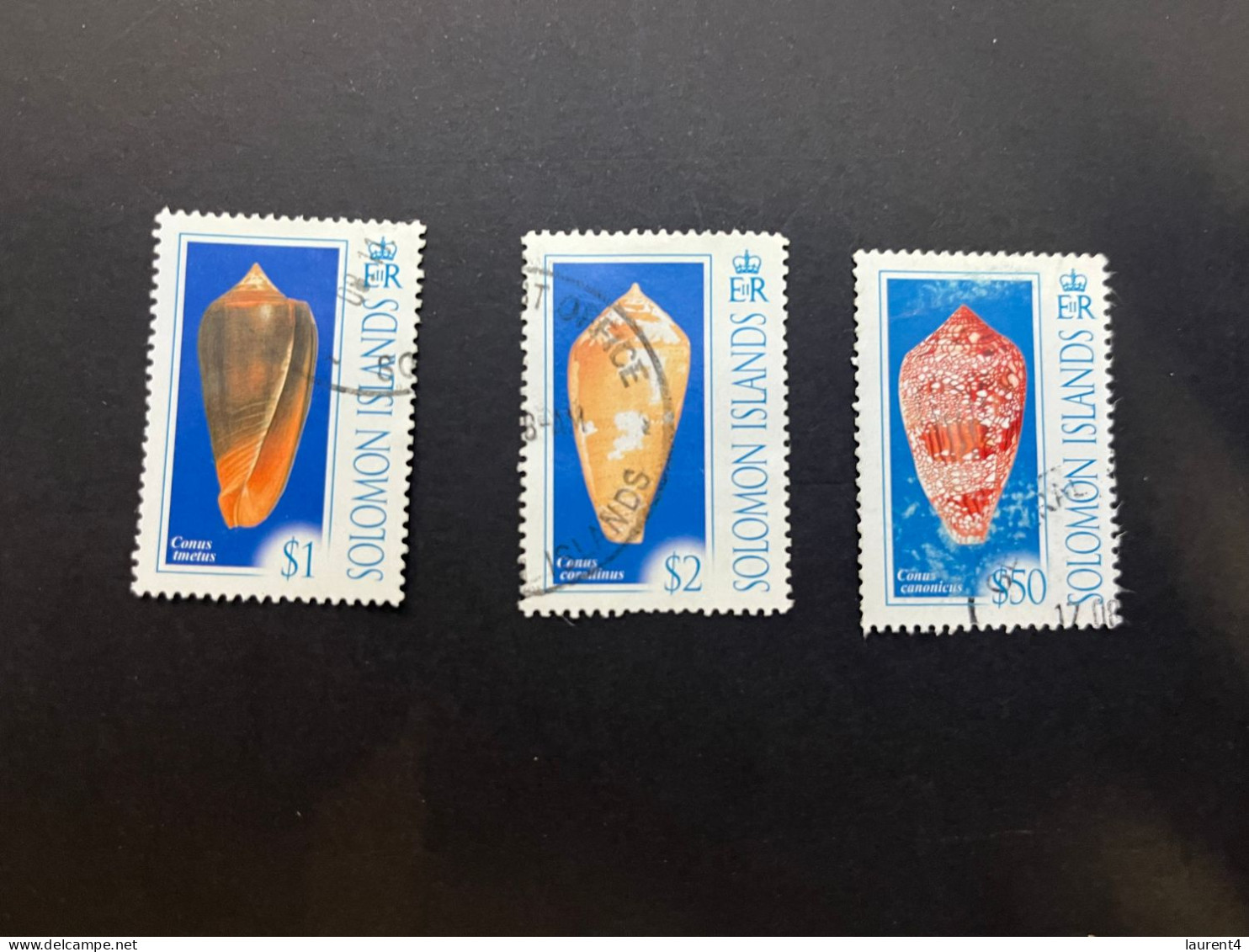 11-5-2024 (stamp)  3 Shell / Seashell - Coquillage - Solomon Island (3 Values) - Crustaceans