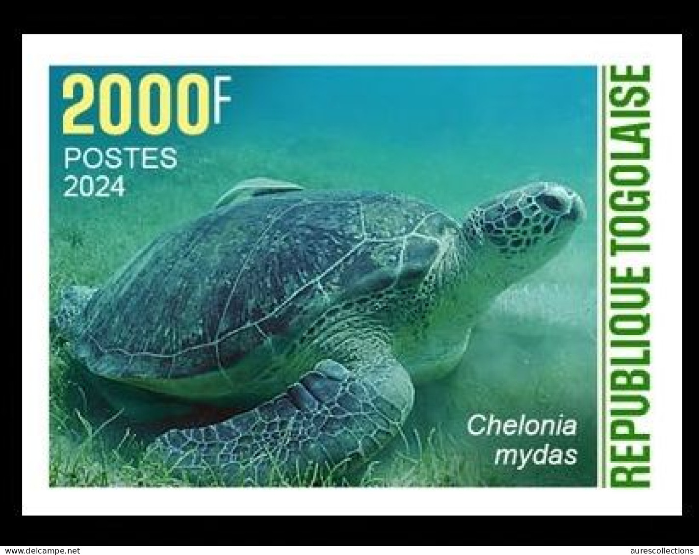 TOGO 2024 STAMP 1V IMPERF 2000F - CAMOUFLAGE - GREEN TURTLE TURTLES TORTUE VERTE TORTUES - REPTILES - MNH - Schildkröten