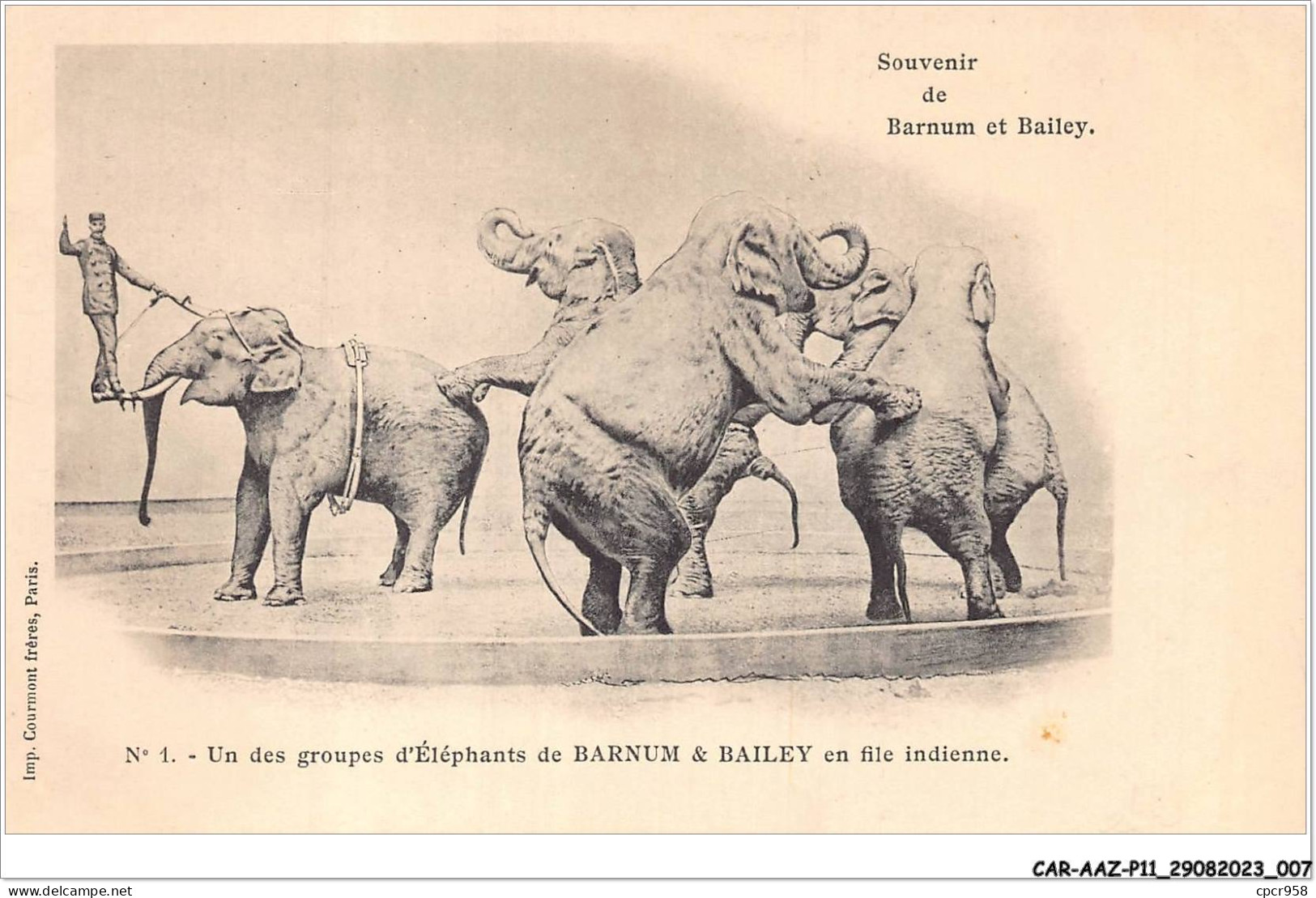 CAR-AAZP11-0819 - CIRQUE - Un Des Groupes D'élephants De  Barnum Et Bailey En File Indienne  - Circo