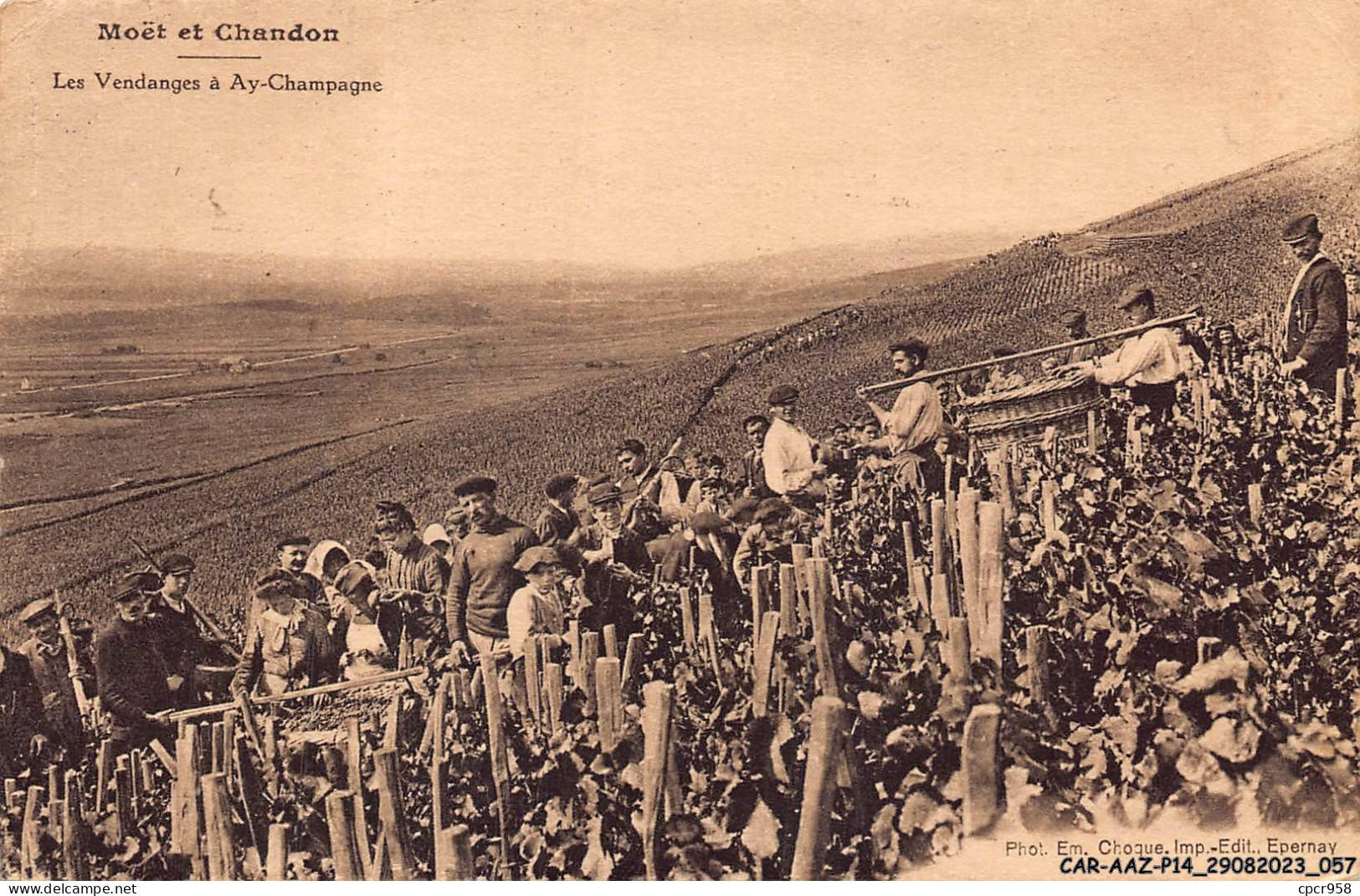 CAR-AAZP14-1082 - METIERS - Moët Et Chandon - Les Vendanges à Ay-champagne  - Paysans