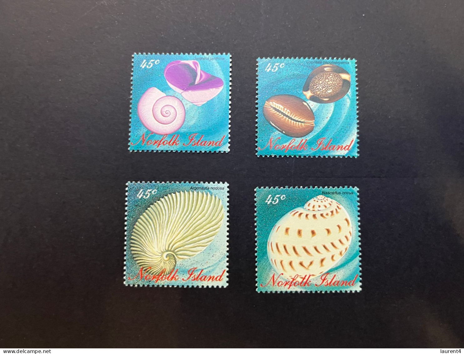 11-5-2024 (stamp)  4 Shell / Seashell - Coquillage - Norfolk  Islands (4 Values) - Crustáceos