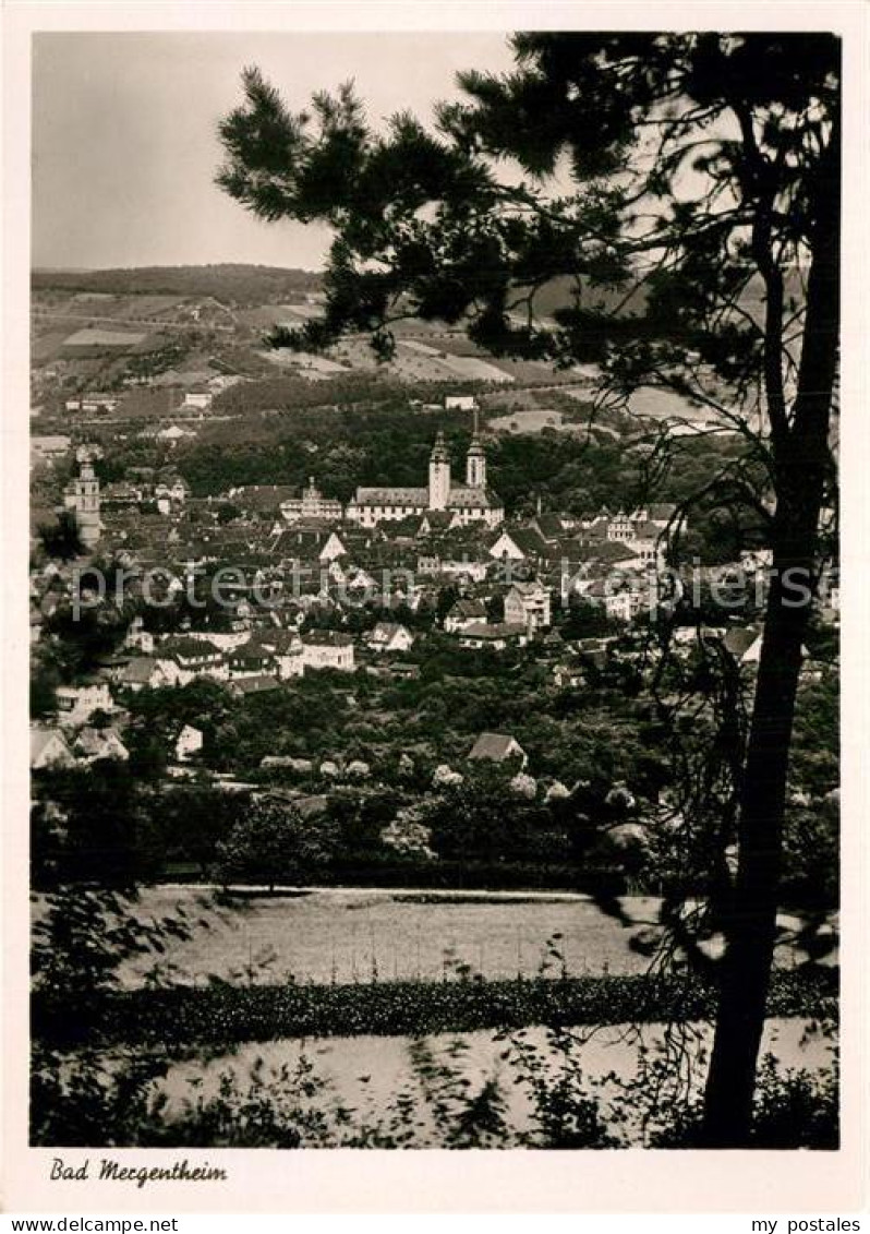 72945049 Bad Mergentheim Panorama Bad Mergentheim - Bad Mergentheim