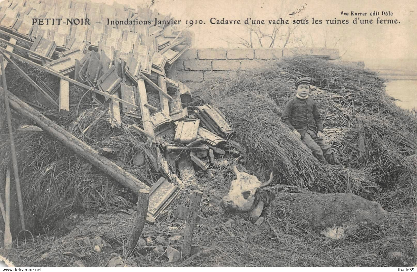 Petit Noir Canton Chemin Inondations 1910 Vache Ferme Agriculture Attention état - Andere & Zonder Classificatie