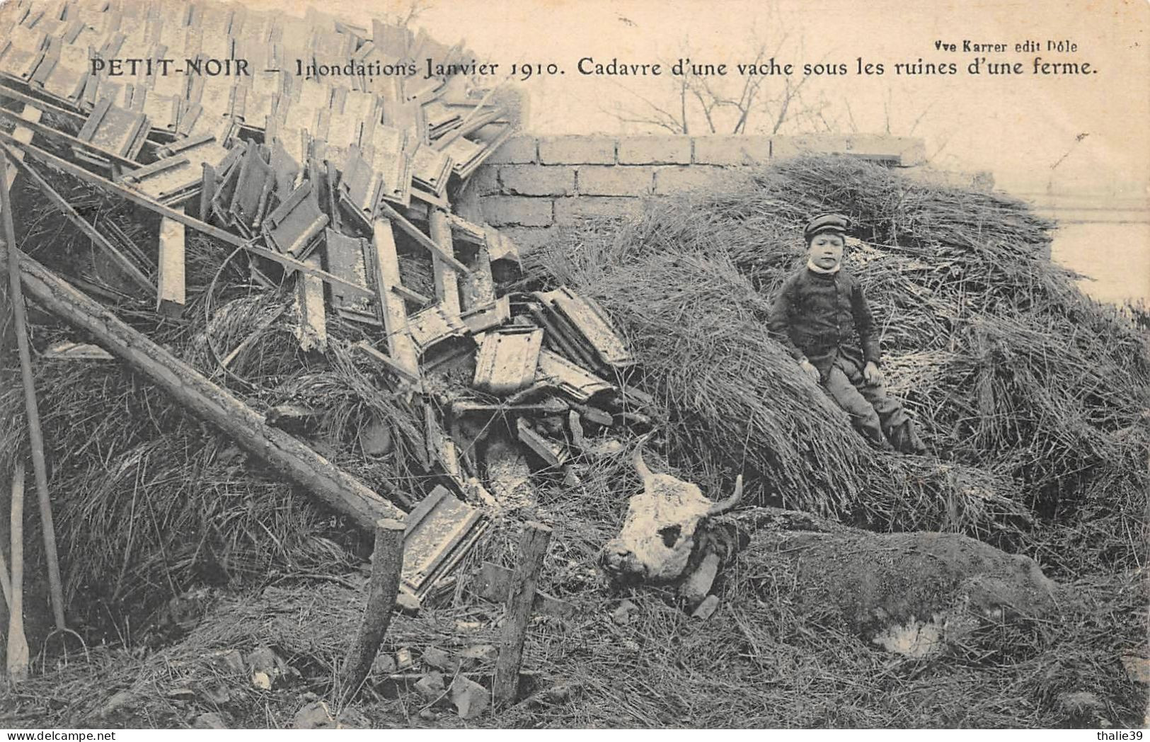 Petit Noir Canton Chemin Inondations 1910 Vache Ferme Agriculture - Autres & Non Classés