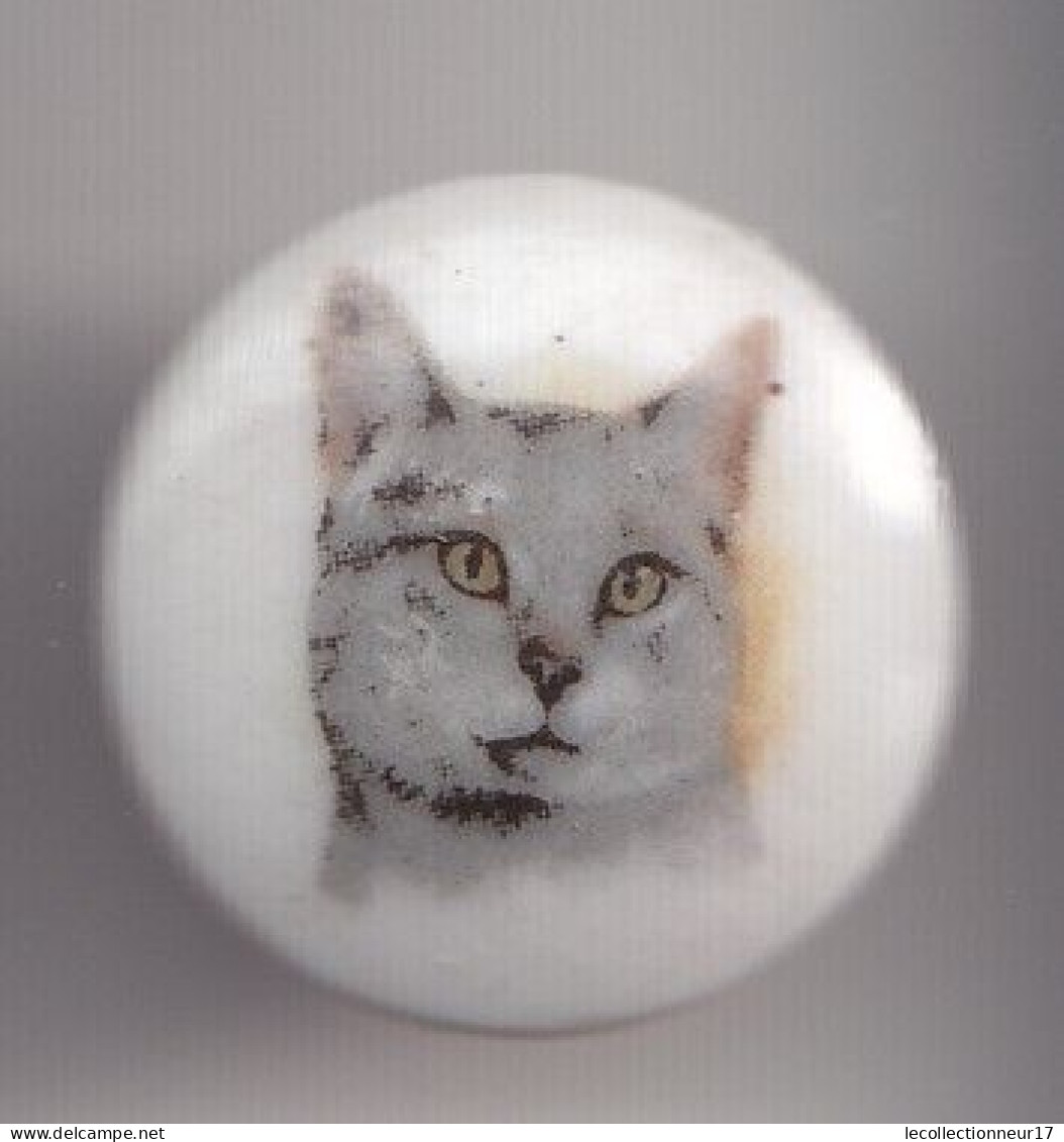 Pin's A.M. En Porcelaine De Limoges Chat Réf 8134 - Animaux