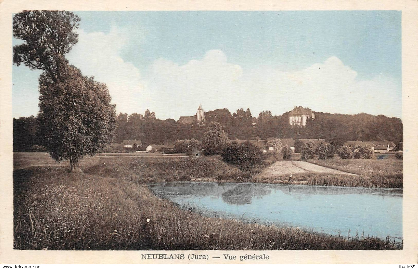 Neublans Canton Chaussin église Château Depuis Petit Noir - Autres & Non Classés