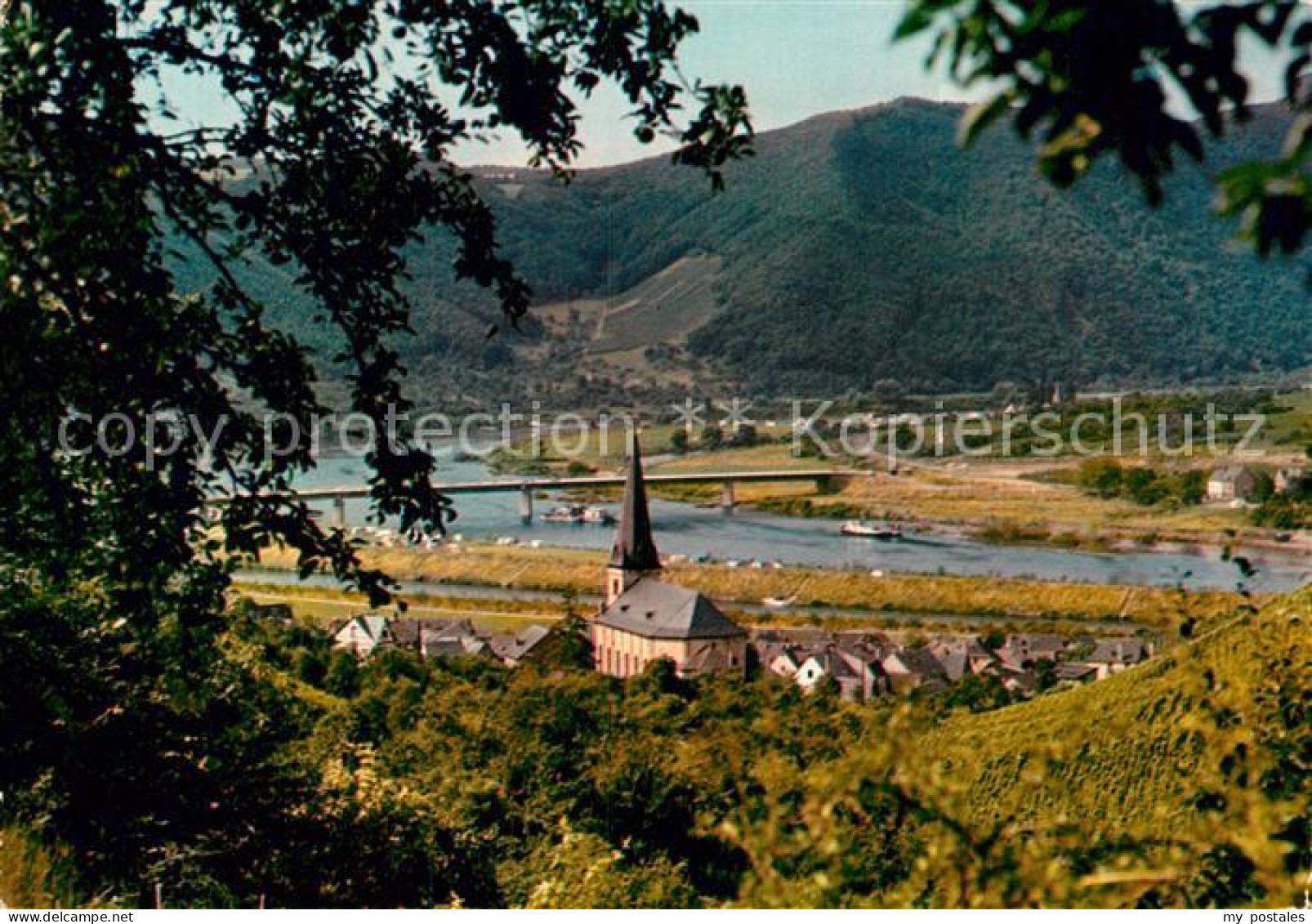 72942851 Senheim-Senhals Panorama Blick Ins Moseltal Senheim-Senhals - Andere & Zonder Classificatie