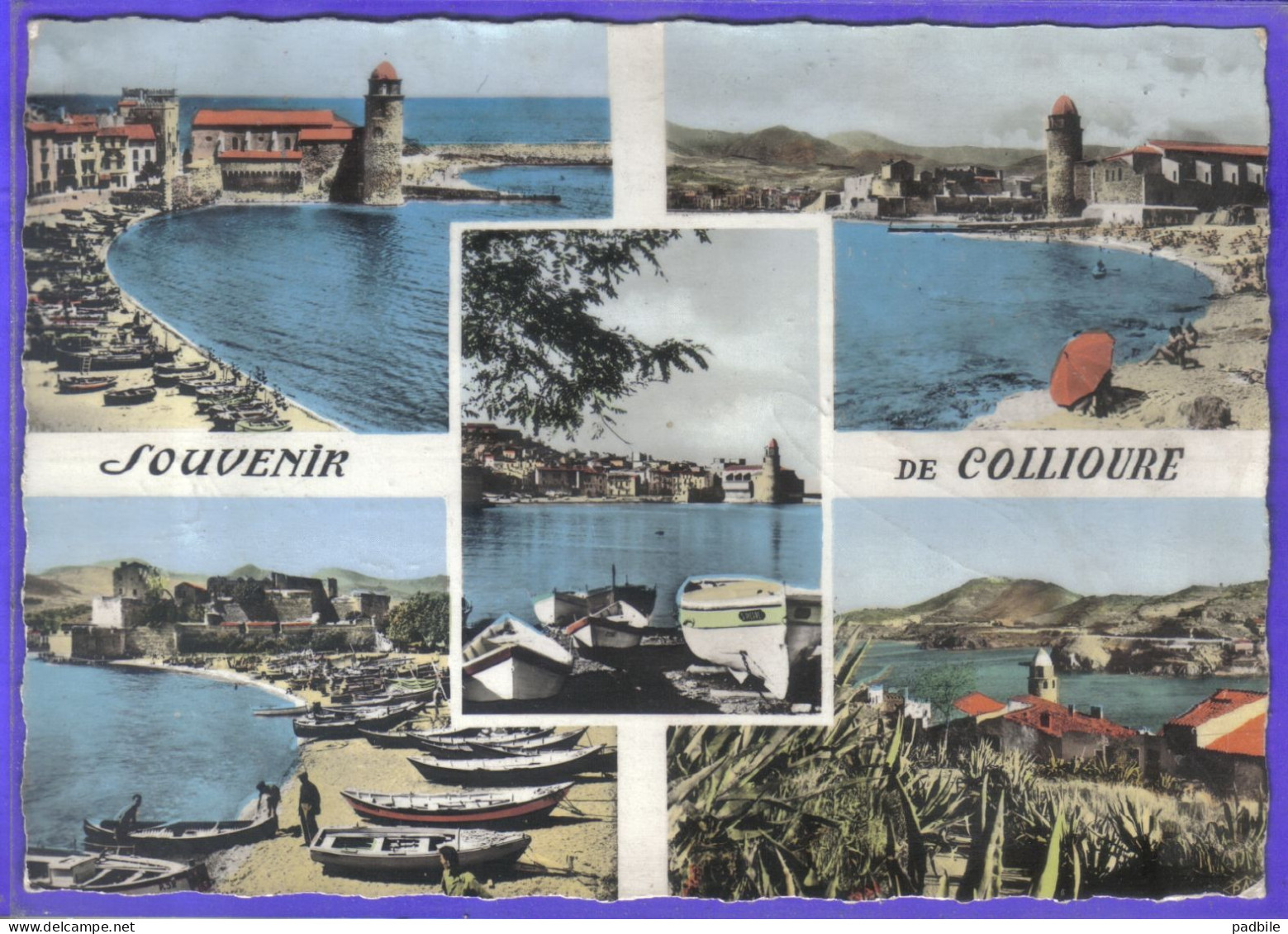 Carte Postale 66. Collioure   Très Beau Plan - Collioure