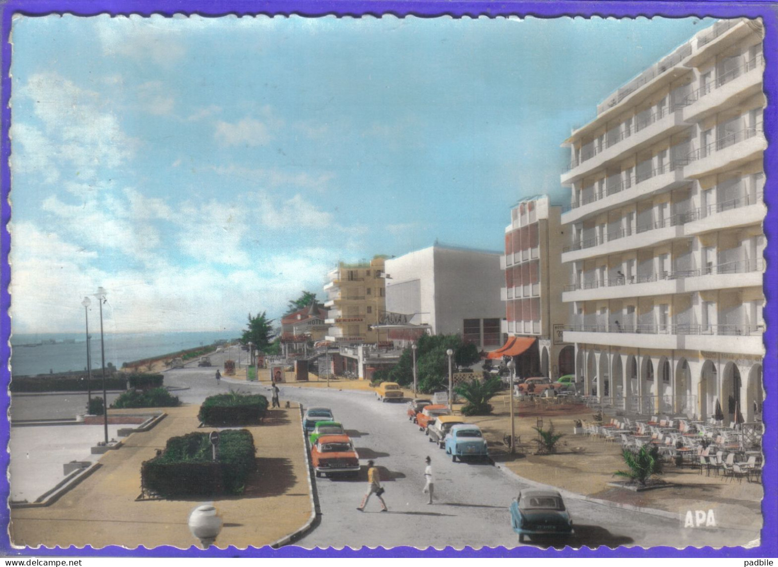 Carte Postale 66. Canet Le Front De Mer  Voitures  Très Beau Plan - Canet Plage