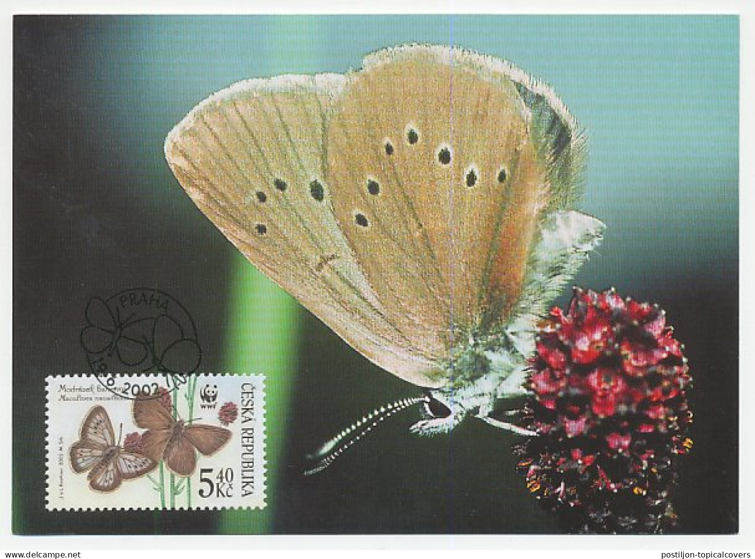 Maximum Card Czech Republic 2002 Butterfly - WWF - Sonstige & Ohne Zuordnung