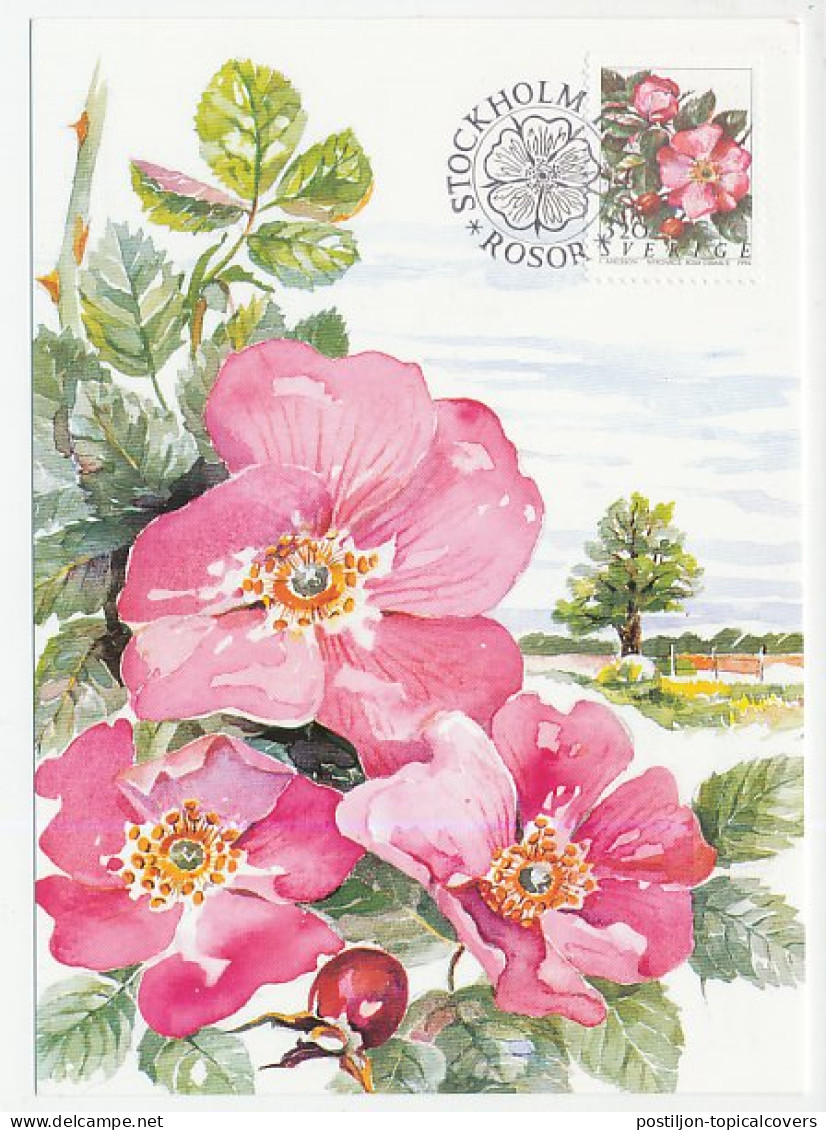 Maximum Card Sweden 1994 Roses - Autres & Non Classés