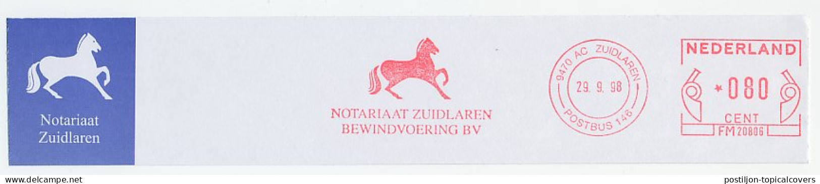 Meter Top Cut Netherlands 1998 Horse - Hippisme